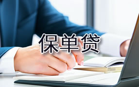 锡林郭勒盟保单贷